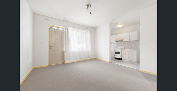 Fresh, bright & convenient living in the heart of Travancore - Photo 1