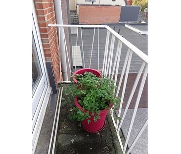 Grote Baan 61 bus 0002 - Photo 6