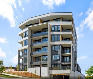 Modern Apartment Living in the Heart of Denman Prospect - Photo 3