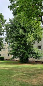 1-Zimmer-Wohnung in Dortmund - Photo 3