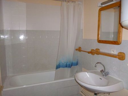 Location Appartement 1 pièce 21m² CLERMONT FERRAND 63000 - Photo 3