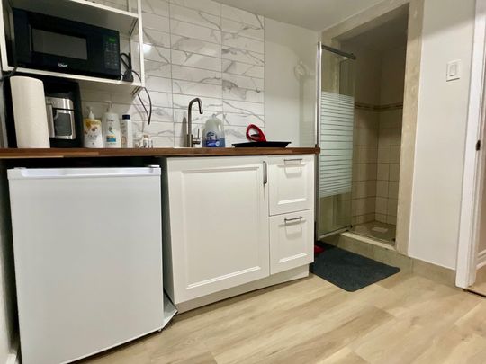 For Lease - 260 Fisherville Road Unit# Lower, Toronto, Ontario - Photo 1