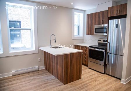 3540 Rue Durocher - 1F - Photo 3