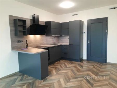 Pronájem bytu 1+kk v exkluzivním projektu Kolbenova park - Photo 4