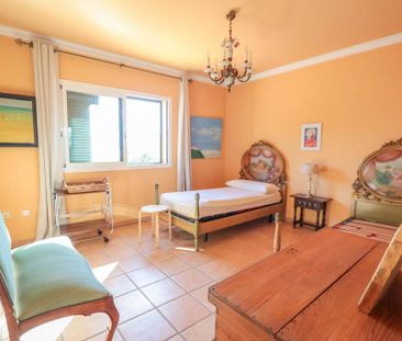 3 room luxury House for rent in Rocafort, Spain - Photo 3