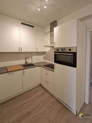 Ruim nieuw gerenoveerd appartement in hartje Antwerpen, instapklaar. - Foto 1