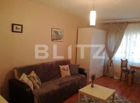 Garsoniera, 27 mp, mobilata modern, Pet Friendly, zona Spitalului de Recuperare! - Fotografie 3