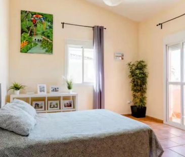 Casa o chalet de alquiler en Calle Granada, 4, Valencina de la Conc... - Photo 2