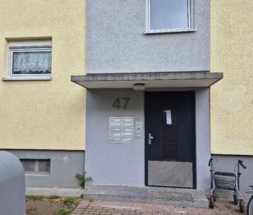 Geräumige und helle 2-ZKB-Wohnung mit großem Wohnbereich zu vermieten - Photo 1
