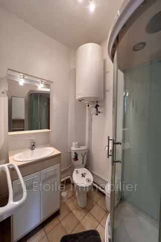 Location Appartement 1 pièce 19m² MORTAGNE AU PERCHE 61400 - Photo 5