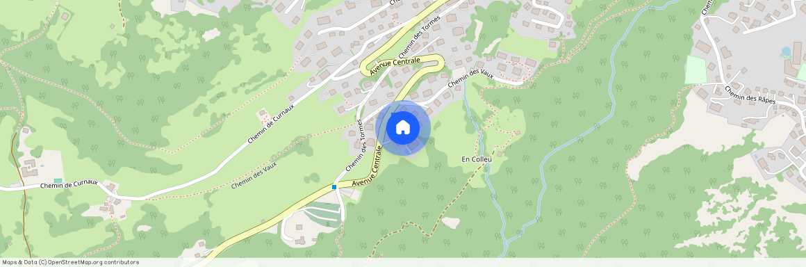 1885, Chesières, Av. Centrale, 8