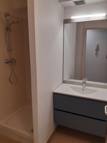 Location Appartement 1 pièce 20m² ST PIERRE 97410 - Photo 4