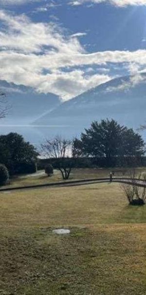 Charming 2.5-room apartment with lake view in Melide - Foto 2