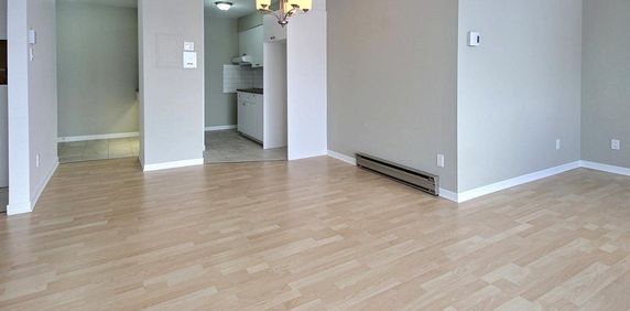 3 1/2 GRAND, paisible, RÉNOVÉ (LORETTEVILLE) - Photo 2