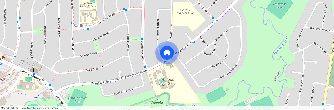 105 Maxwell Ave, NSW 2168, Ashcroft