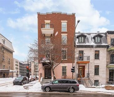 Appartement Montréal (Ville-Marie) À Louer - Photo 3