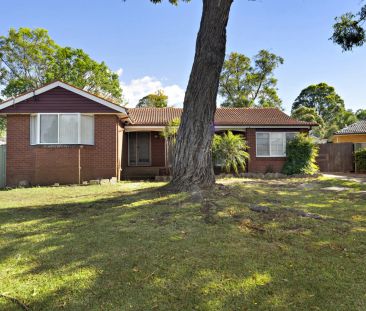 Freshly Updated Home in Sought-After Crestwood Catchment - Photo 1