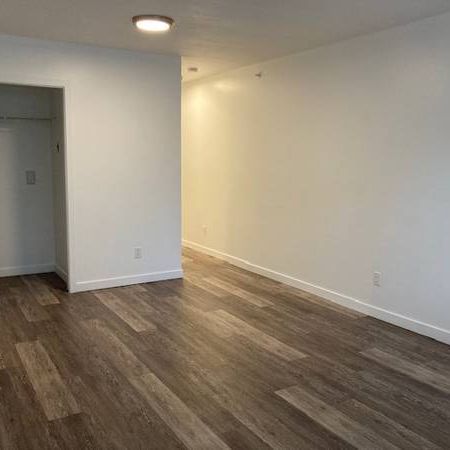 New Studio apt with insuite laundry, 6 appliances at Cambie-Broadway - Photo 3