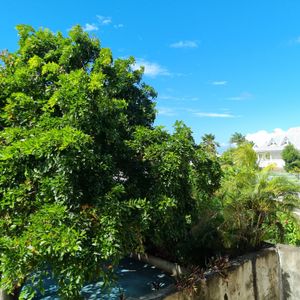 Location Appartement 1 pièce 20m² ST DENIS 97400 - Photo 2