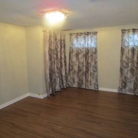 Bachelor Suite in Spruceland - Photo 1