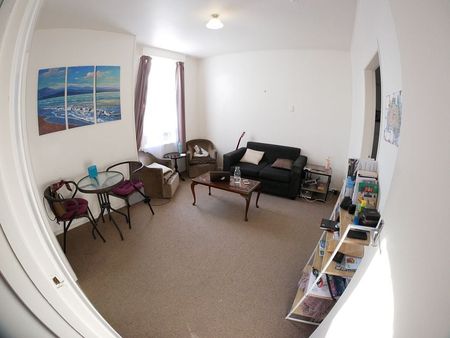 Sunny and tidy unit in Mt Vic, Oriental Bay end - Photo 4