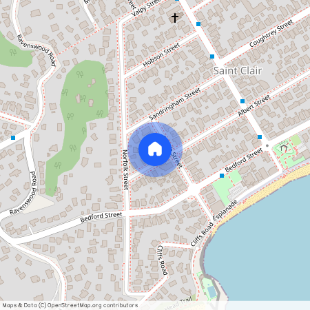 11 Albert Street, Saint Clair, Dunedin City