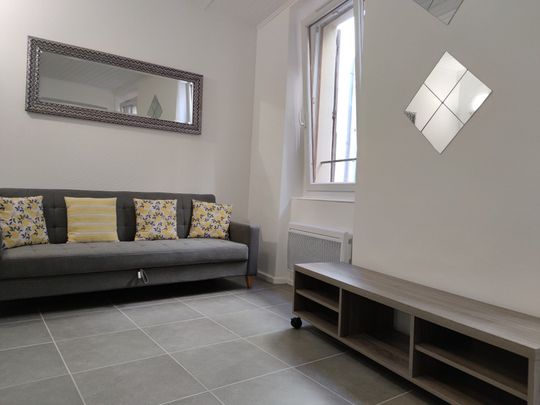 Location Appartement 1 pièce 31m² NARBONNE 11100 - Photo 1