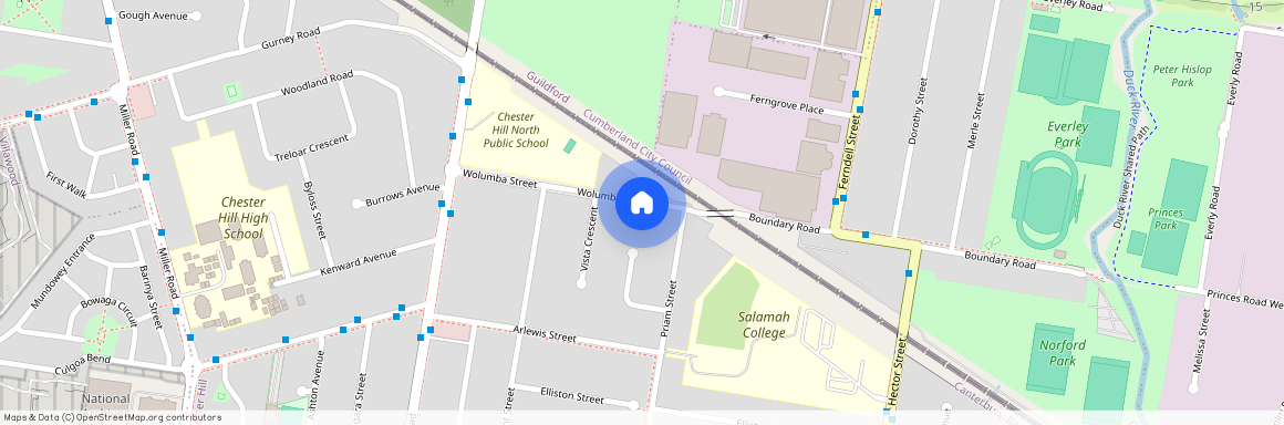 Chester Hill, NSW 2162