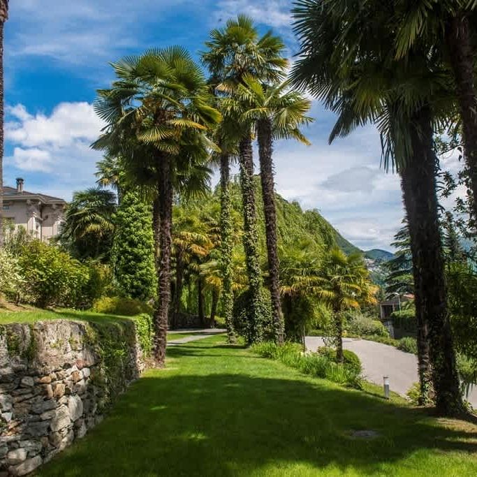 4.5 Zimmer, 165 m², 1. Stock - Foto 1