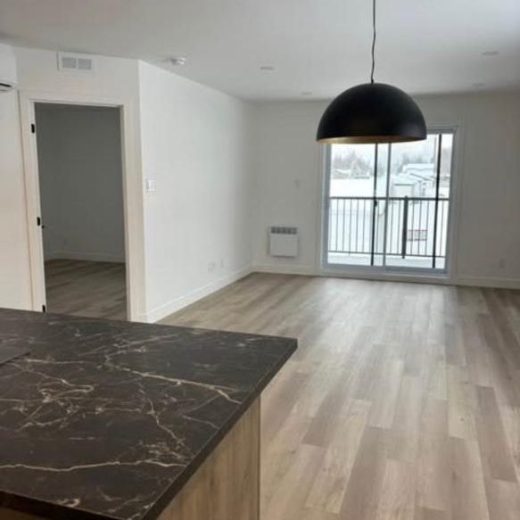 Appartement 31/2 neuf à louer St-Isidore Beauce - Photo 1