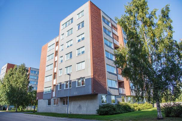 Prästgårdsgatan 20, 94131, Piteå - Foto 1