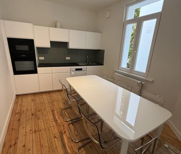 — Papegaaistraat - Photo 3