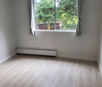 1-Bedroom Apartment-Newly Renovated: - Photo 1