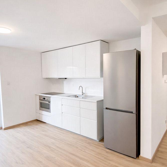 Pronájem bytu 1+kk 50 m² - Fotografie 1