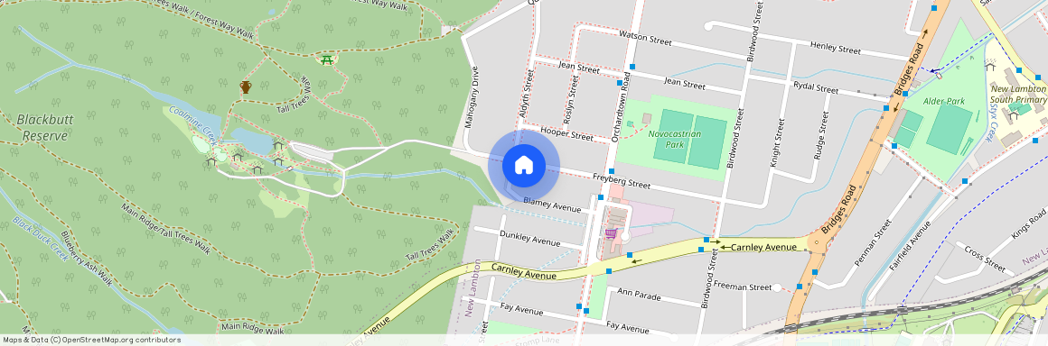 3 Freyberg Street, New Lambton NSW 2305