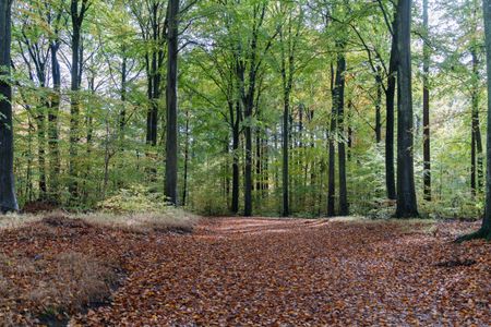 Rummeligt rækkehus i familievenligt kvarter i Ålsgårde - Photo 5