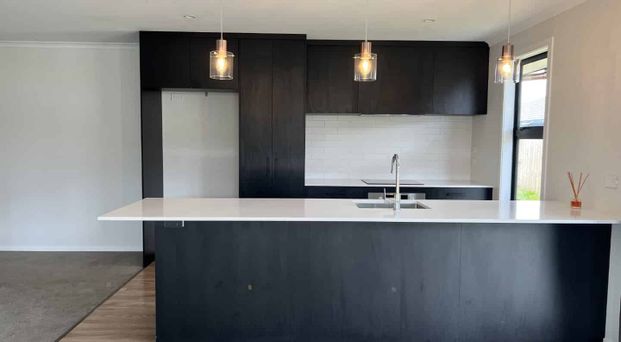 Near New Executive Home - Photo 1