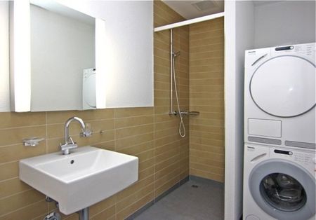 4 ½ Zimmer-Wohnung in Winterthur mieten - Photo 4