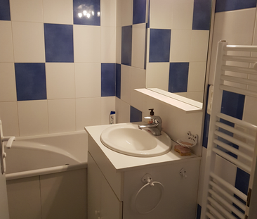 Location Appartement 1 pièce 26m² - Photo 3