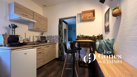 Location Appartement 2 pièces 23m² SOUCIEU EN JARREST 69510 - Photo 5