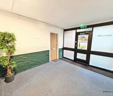 Studio to rent - Photo 6