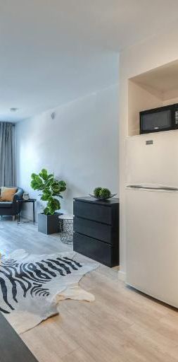 Studio - Montréal - $1,095 /mo - Photo 1