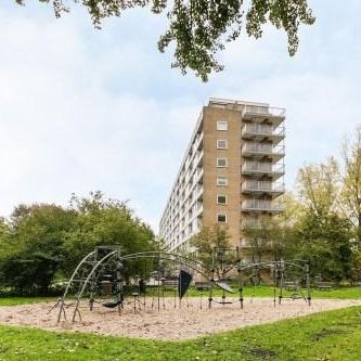Engelandlaan, 2034 Haarlem, Nederland - Foto 4