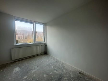 Te huur: Huis Zandgors in Mijnsheerenland - Photo 2