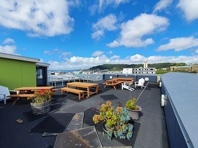 Modern 1BR Apt in Te Aro - Photo 3