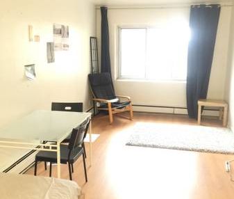 STUDIO ON PLATEAU CLOSE TO SUBWAY and McGill or Guy Concordia Universi - Photo 2