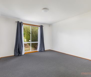 130 Julia Flynn Avenue, Isaacs ACT 2607 - House For Rent | Domain - Photo 1