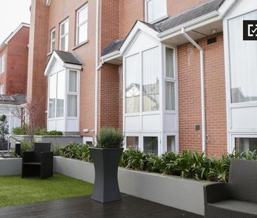 Studio for rent in Donnybrook, Dublin - Photo 5