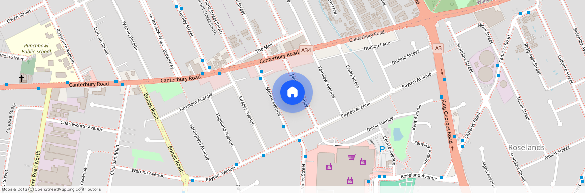 17 Pentland Avenue, Roselands, NSW 2196