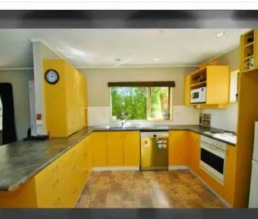 Sunny, Spacious charming home with Garden! - Photo 4